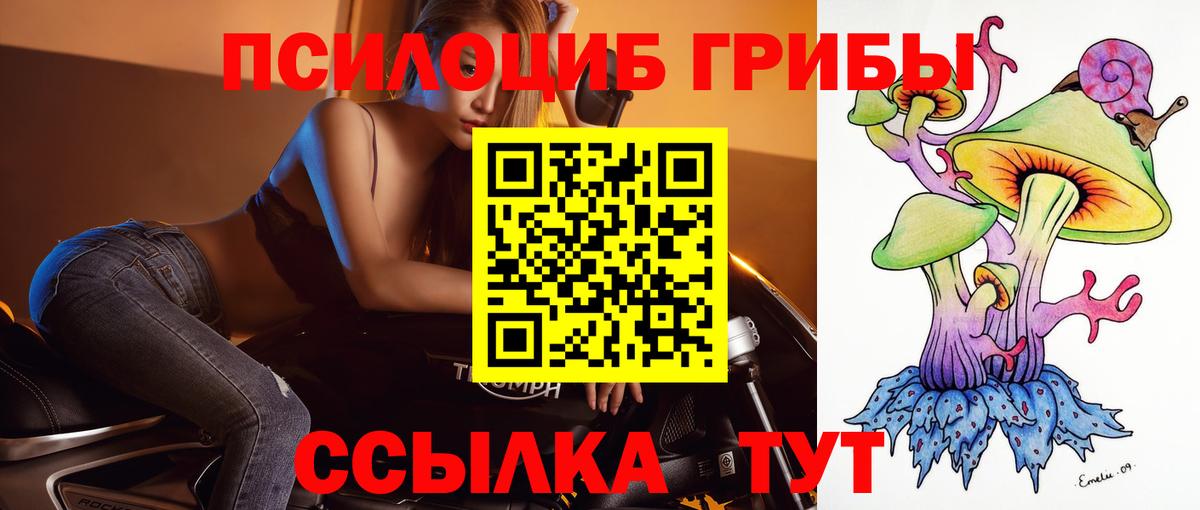 Псилоцибиновые грибы мицелий Сергиев Посад